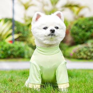 Detail of light green pet cooling vest with breathable mesh fabric on a white Pomeranian dog