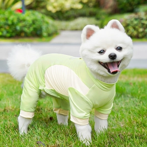 Breathable light green mesh dog jumpsuit worn by a white Pomeranian on green grass