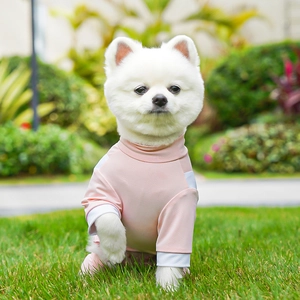 Close-up of pink breathable mesh pet jumpsuit on a small dog in bright outdoor sunlight