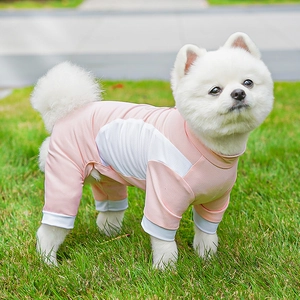 Pink breathable mesh four-legged cooling sun protection suit on a Pomeranian dog