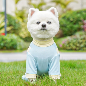 Close-up of breathable mesh fabric on blue and yellow cooling dog vest outdoors