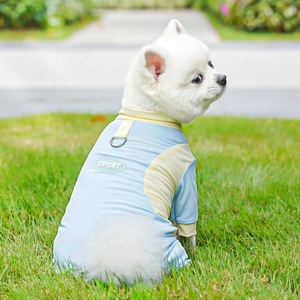 Close-up of blue pet sun protection vest with metal D-ring on soft green lawn