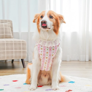 Detail of pink striped pet vest with delicate lace collar and cute bear pattern