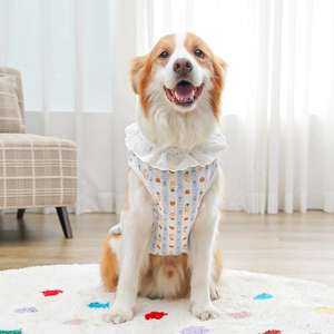 Close-up of pet summer vest featuring light blue stripes, floral patterns, and lace collar