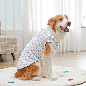 Close-up of cotton pet vest featuring blue plaid, bear prints, and lace collar detail