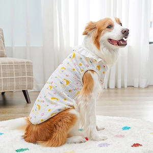 Close-up of pet summer vest with cartoon print and white lace ruffles for dogs