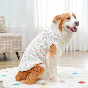 Close-up of a floral cotton pet vest with white lace collar on a Border Collie