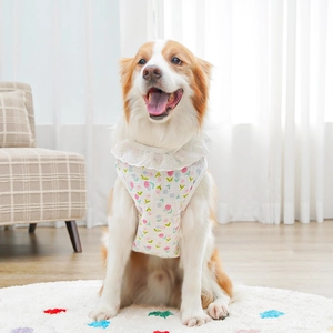Detail of floral pet vest with lace ruffle collar on a smiling dog in a cozy home setting