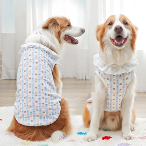 Close-up of border collies wearing blue striped cotton pet vests with lace collars