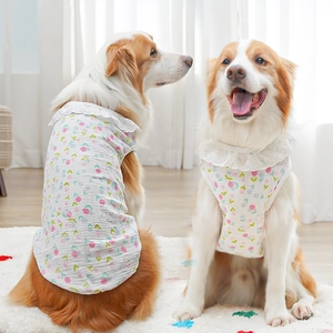 Floral cotton pet vest with lace trim shown on two Border Collies in a cozy home setting