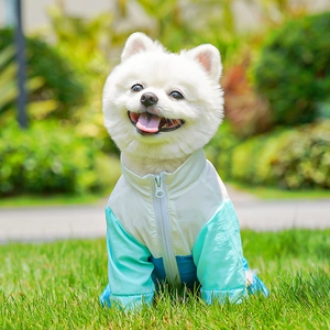 Détail d'une veste légère coupe-vent pour chien avec panneaux tricolores sur l'herbe