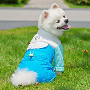 Détail de la veste de sport bleue pour chien avec anneau en D sur herbe verte