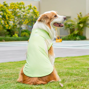 Perro grande con chaleco deportivo refrescante verde claro en malla transpirable