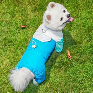 Détail de la combinaison imperméable pour chien avec bloc de couleurs et anneau en D