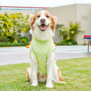Chaleco refrigerante verde claro transpirable para perros grandes de malla secado rápido