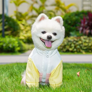 Petit chien en extérieur portant un coupe-vent léger tricolore avec fermeture éclair frontale