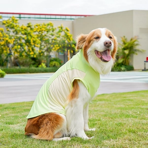 Chaleco transpirable de seda de hielo verde claro y amarillo para perros grandes afuera