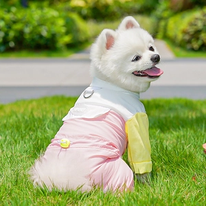 Détail de la combinaison pour chien coupe-vent avec anneau en D et écusson sport