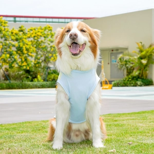 Detalle de un chaleco refrescante de seda de hielo azul para perros grandes con malla de aire