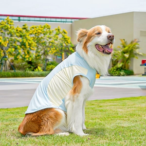 Chaleco refrescante para perros de seda helada con malla transpirable azul y amarillo