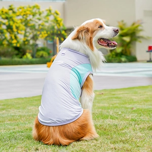 Detalle de chaleco refrigerante de malla transpirable para perros grandes con anillo en D