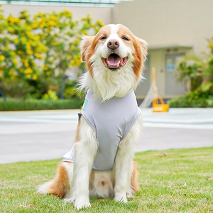 Primer plano de chaleco refrescante de seda de hielo para perros en gris y verde menta con protección
