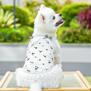 Detail of floral pet harness dress with multi-layer lace trim and black bow