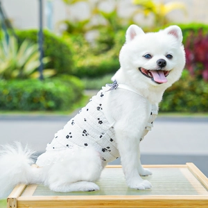 Detailed close-up of white floral pet vest with lace edges and breathable fabric mesh