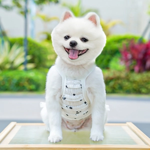 Close-up of pet summer vest with floral print and delicate white lace ruffle details