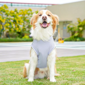Vista frontal del chaleco refrescante gris para perros grandes con malla transpirable