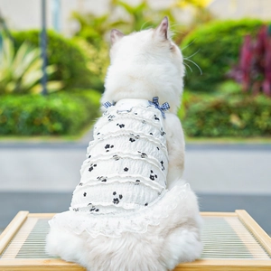 Detail of white pet dress with floral pattern, tiered lace ruffles, and blue plaid bows