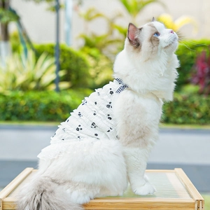 Detail of layered ruffle pet dress with floral print and bowknot on a Ragdoll cat
