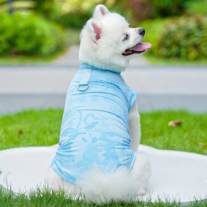 Detail of light blue mesh pet vest with metal D-ring for leash on a Pomeranian