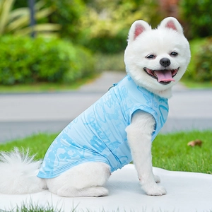 Close-up of light blue ice silk pet vest with mesh texture on a small white dog