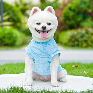 Detail of light blue mesh cooling vest for small dogs on a green garden background