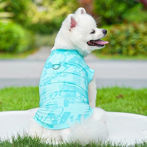 Detail of mint green mesh pet vest with metal D-ring for leash attachment