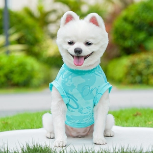 Breathable light blue mesh pet vest for small dogs showing fine texture and airy fabric