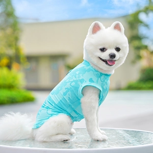 Close-up of light blue ice silk cooling vest with breathable mesh on Pomeranian dog