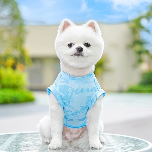 Close-up of sky blue mesh cooling pet vest worn by a Pomeranian on a water-textured table