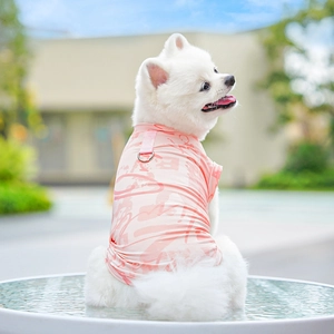Pink ice silk dog vest with D-ring leash attachment on white Pomeranian outdoors