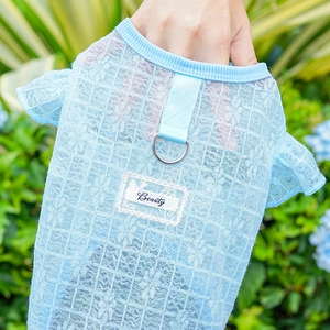 Detail of light blue lace dog shirt with D-ring attachment and Beauty embroidery label