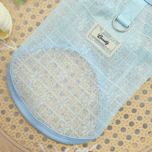 Detail of light blue lace pet clothing with Beauty label and metal D-ring for leash attachment