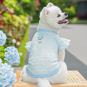 Detail of light blue plaid pet shirt with floral lace, Beauty patch, and metal D-ring