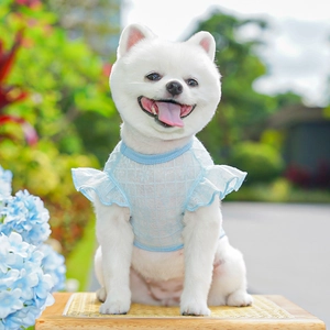 Detail of light blue mesh lace pet dress with ruffle sleeves for small dogs
