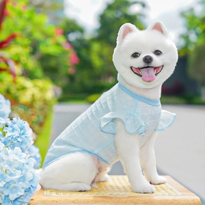 Close-up of lightweight blue pet dress with ruffled sleeves on a small dog