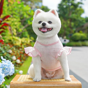 Detailed close-up of pink checkered pet vest with layered ruffle sleeves on a dog