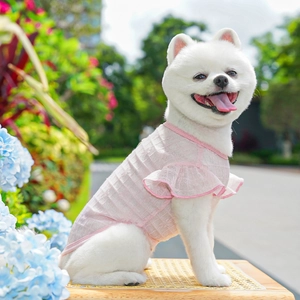 Close-up of pink plaid pet dress with ruffled flying sleeves on a small dog in a garden