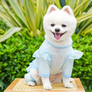 Close-up of light blue mesh pet dress featuring lace ruffles and breathable fabric