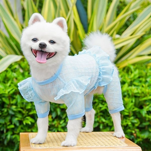 Close-up of light blue pet outfit with sheer checkered mesh and ruffled sleeve details