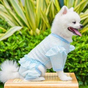 Close-up of light blue lace pet dress with breathable mesh fabric on a small dog